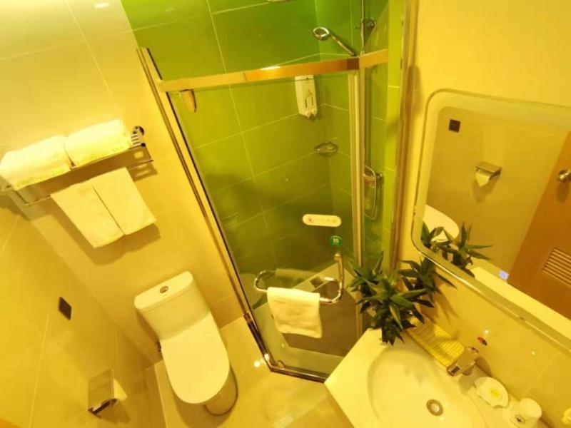 Greentree Inn Shenyang Shengjing Hospital Shenyang Liaol Road Business Hotel Eksteriør bilde